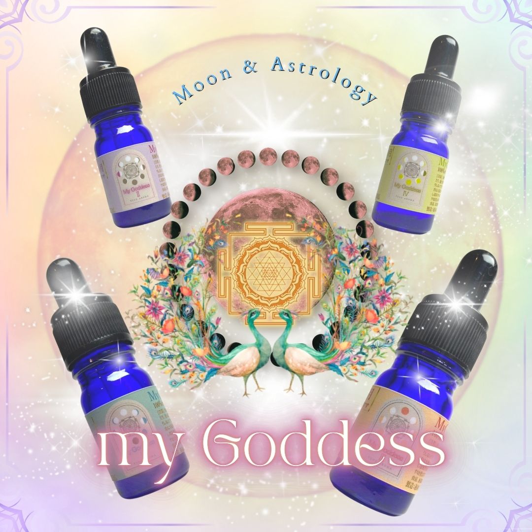 商品セット写真（4本セット）