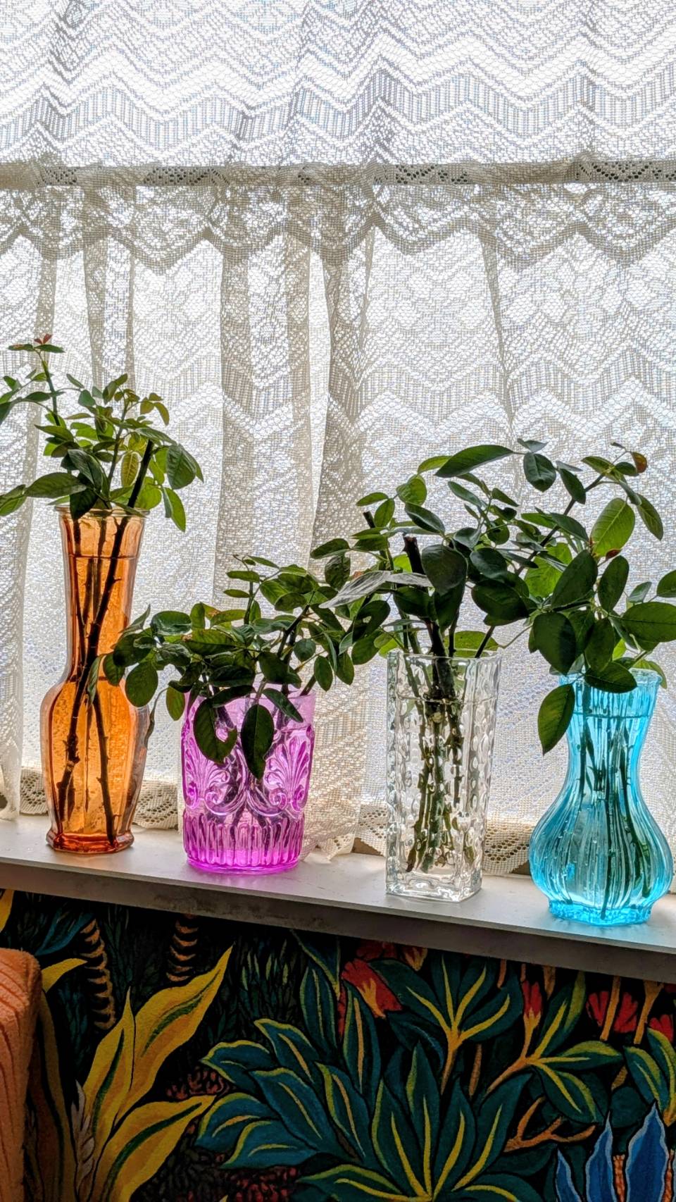 バラの剪定と挿し木にチャレンジ2025年